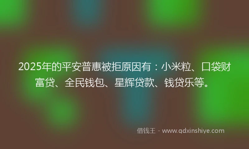 2025年的平安普惠被拒原因有：小米粒、口袋财富贷、全民钱包、星辉贷款、钱贷乐等。