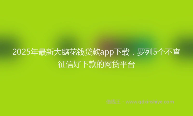2025年最新大鹅花钱贷款app下载，罗列5个不查征信好下款的网贷平台