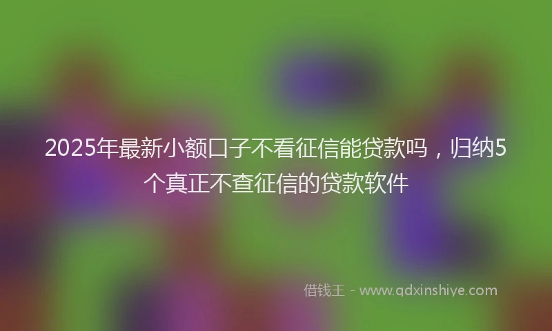 2025年最新小额口子不看征信能贷款吗，归纳5个真正不查征信的贷款软件