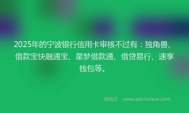 2025年的宁波银行信用卡审核不过有：独角兽、借款宝快融通宝、星梦借款通、借贷易行、速享钱包等。