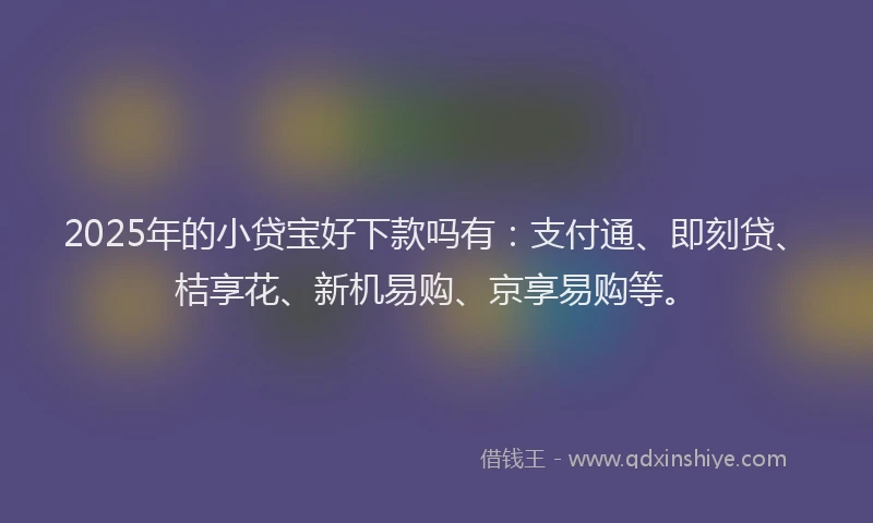 2025年的小贷宝好下款吗有：支付通、即刻贷、桔享花、新机易购、京享易购等。