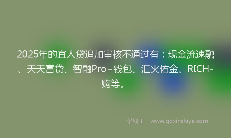 2025年的宜人贷追加审核不通过有：现金流速融、天天富贷、智融Pro+钱包、汇火佑金、RICH-购等。