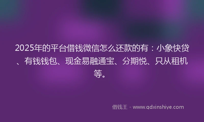 2025年的平台借钱微信怎么还款的有：小象快贷、有钱钱包、现金易融通宝、分期悦、只从租机等。