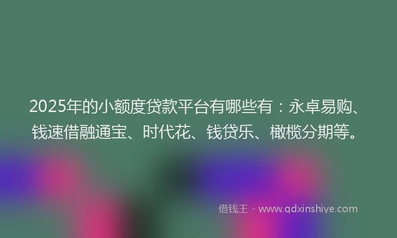 2025年的小额度贷款平台有哪些有：永卓易购、钱速借融通宝、时代花、钱贷乐、橄榄分期等。