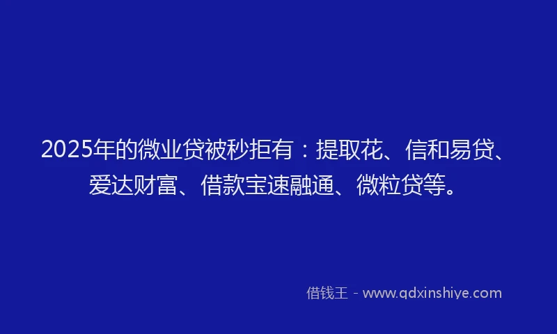 2025年的微业贷被秒拒有：提取花、信和易贷、爱达财富、借款宝速融通、微粒贷等。