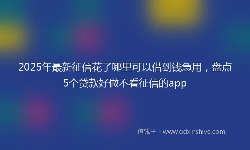 2025年最新征信花了哪里可以借到钱急用，盘点5个贷款好做不看征信的app