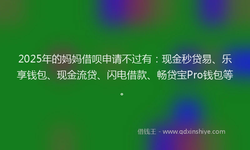 2025年的妈妈借呗申请不过有：现金秒贷易、乐享钱包、现金流贷、闪电借款、畅贷宝Pro钱包等。