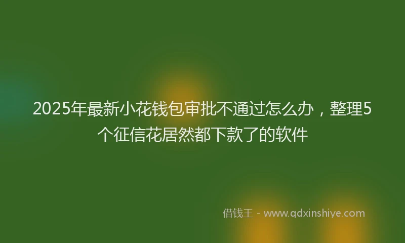 2025年最新小花钱包审批不通过怎么办，整理5个征信花居然都下款了的软件
