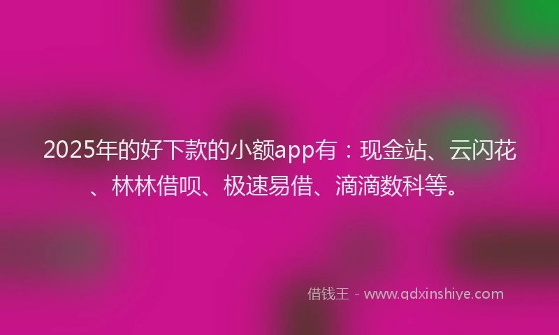 2025年的好下款的小额app有：现金站、云闪花、林林借呗、极速易借、滴滴数科等。