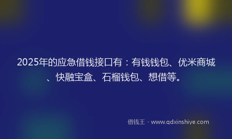 2025年的应急借钱接口有：有钱钱包、优米商城、快融宝盒、石榴钱包、想借等。