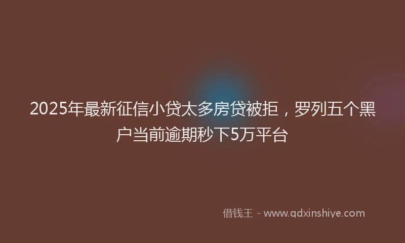 2025年最新征信小贷太多房贷被拒，罗列五个黑户当前逾期秒下5万平台