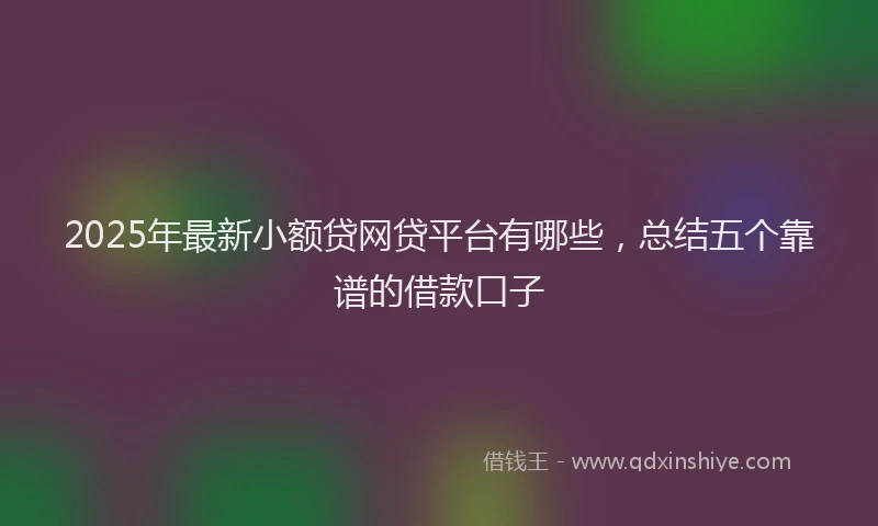 2025年最新小额贷网贷平台有哪些，总结五个靠谱的借款口子