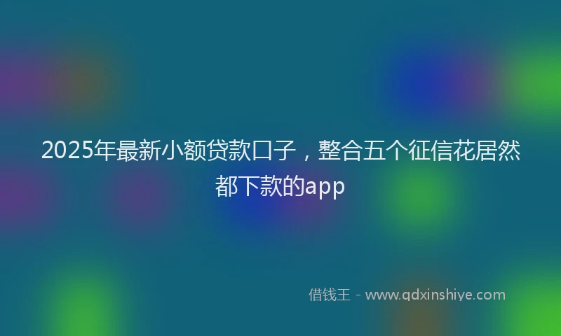2025年最新小额贷款口子，整合五个征信花居然都下款的app