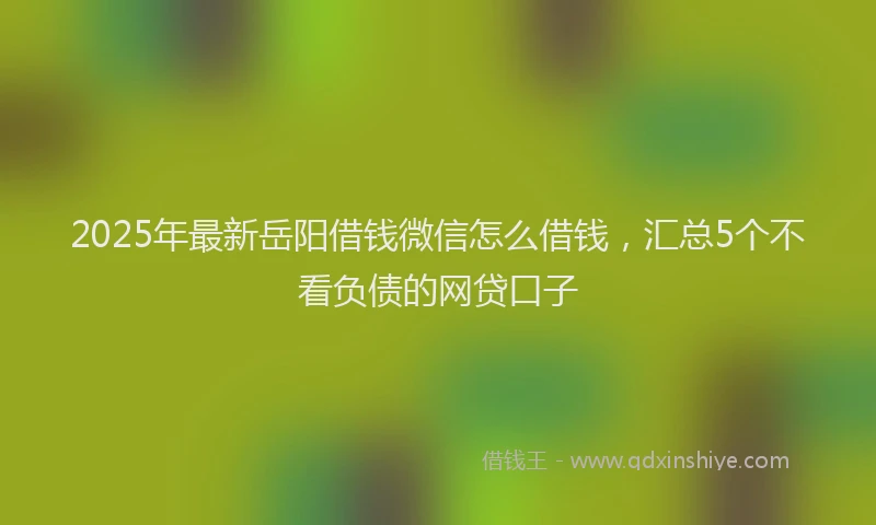 2025年最新岳阳借钱微信怎么借钱，汇总5个不看负债的网贷口子