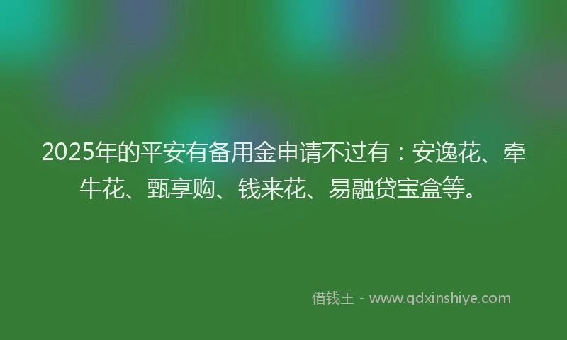 2025年的平安有备用金申请不过有：安逸花、牵牛花、甄享购、钱来花、易融贷宝盒等。