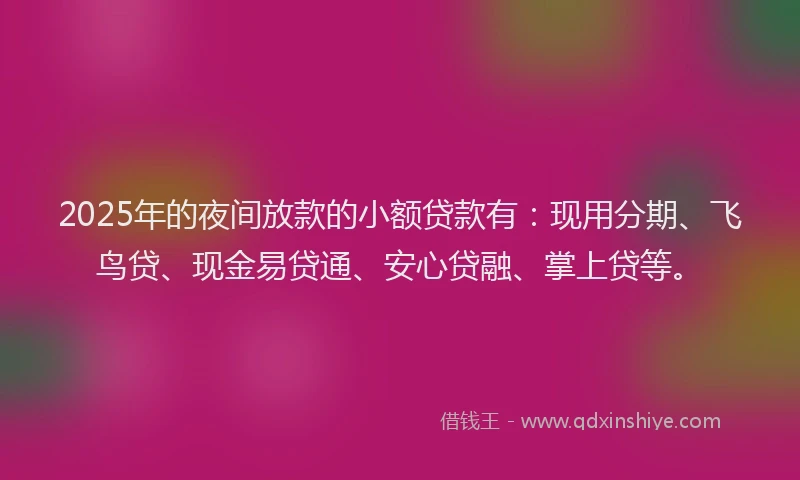 2025年的夜间放款的小额贷款有：现用分期、飞鸟贷、现金易贷通、安心贷融、掌上贷等。