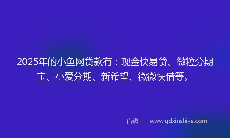 2025年的小鱼网贷款有：现金快易贷、微粒分期宝、小爱分期、新希望、微微快借等。