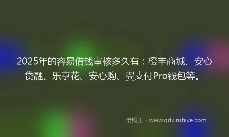 2025年的容易借钱审核多久有：橙丰商城、安心贷融、乐享花、安心购、翼支付Pro钱包等。