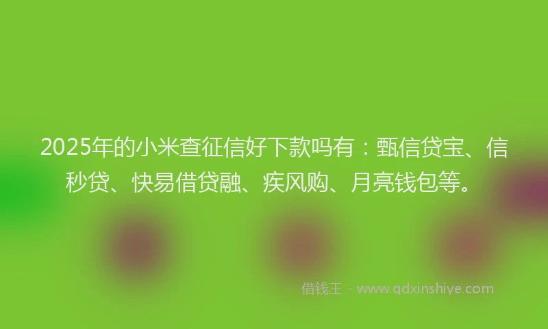 2025年的小米查征信好下款吗有：甄信贷宝、信秒贷、快易借贷融、疾风购、月亮钱包等。