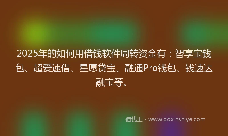2025年的如何用借钱软件周转资金有：智享宝钱包、超爱速借、星愿贷宝、融通Pro钱包、钱速达融宝等。