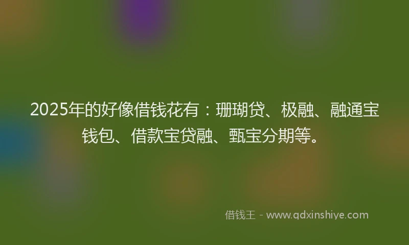 2025年的好像借钱花有：珊瑚贷、极融、融通宝钱包、借款宝贷融、甄宝分期等。