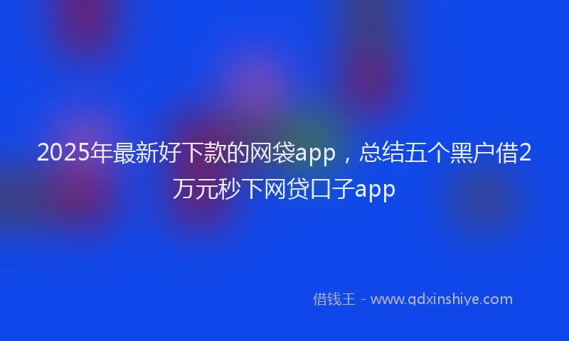 2025年最新好下款的网袋app，总结五个黑户借2万元秒下网贷口子app