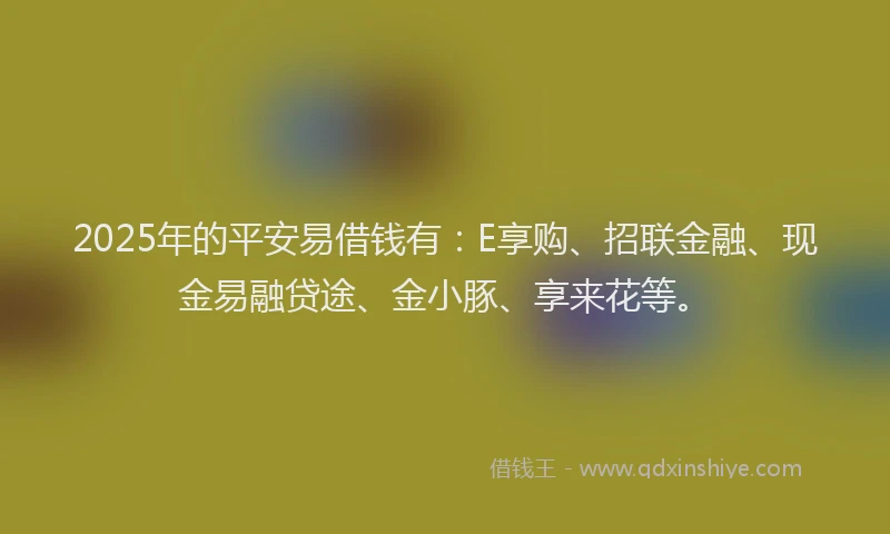 2025年的平安易借钱有：E享购、招联金融、现金易融贷途、金小豚、享来花等。