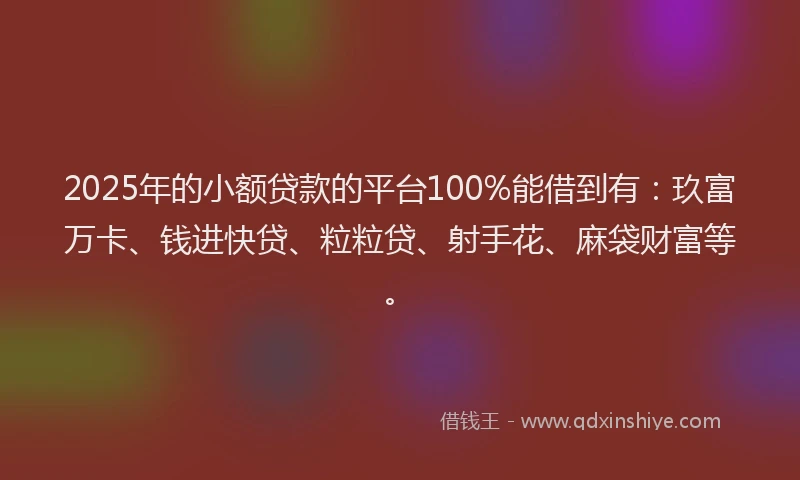 2025年的小额贷款的平台100%能借到有：玖富万卡、钱进快贷、粒粒贷、射手花、麻袋财富等。