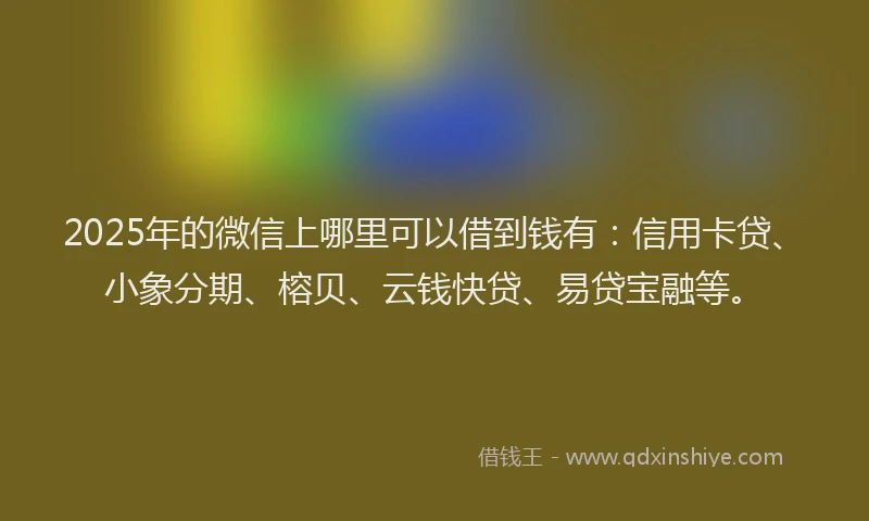 2025年的微信上哪里可以借到钱有：信用卡贷、小象分期、榕贝、云钱快贷、易贷宝融等。