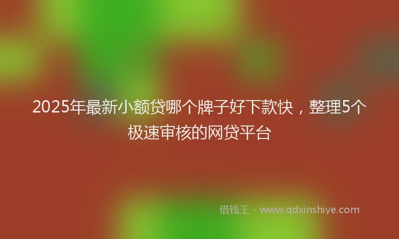 2025年最新小额贷哪个牌子好下款快，整理5个极速审核的网贷平台