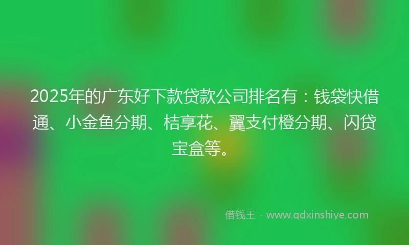 2025年的广东好下款贷款公司排名有：钱袋快借通、小金鱼分期、桔享花、翼支付橙分期、闪贷宝盒等。
