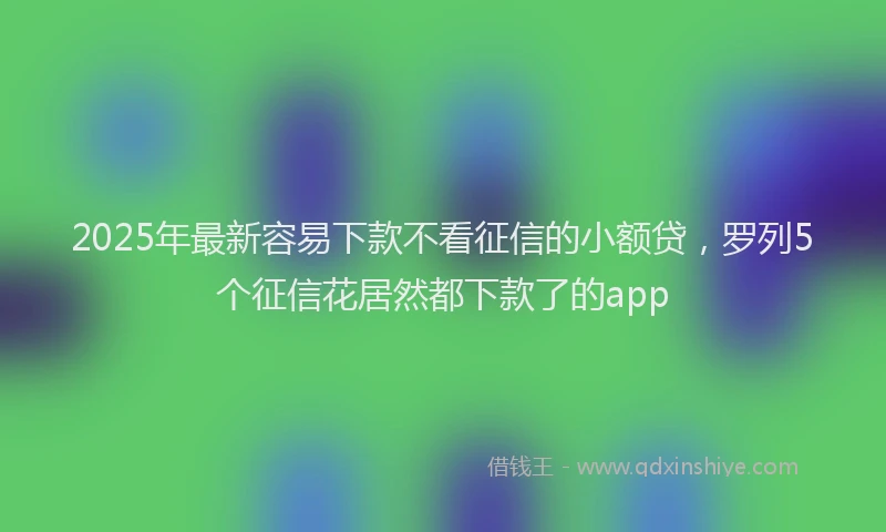 2025年最新容易下款不看征信的小额贷，罗列5个征信花居然都下款了的app