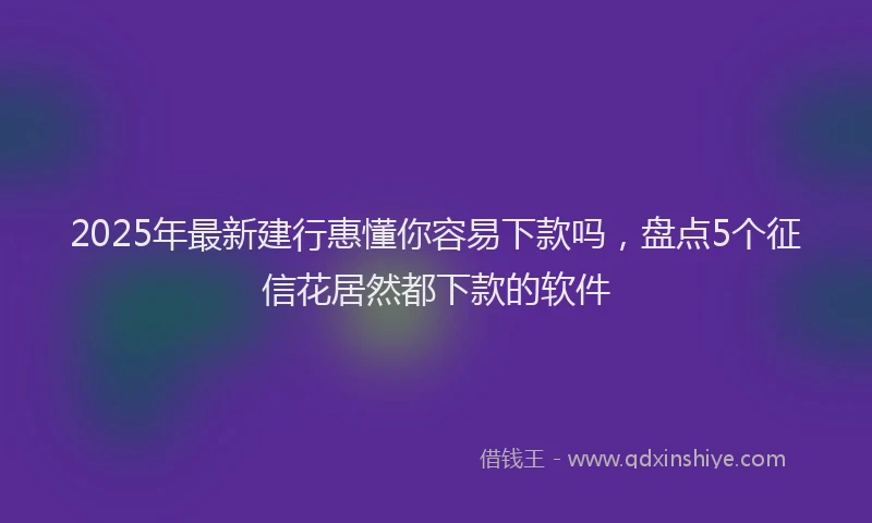 2025年最新建行惠懂你容易下款吗，盘点5个征信花居然都下款的软件