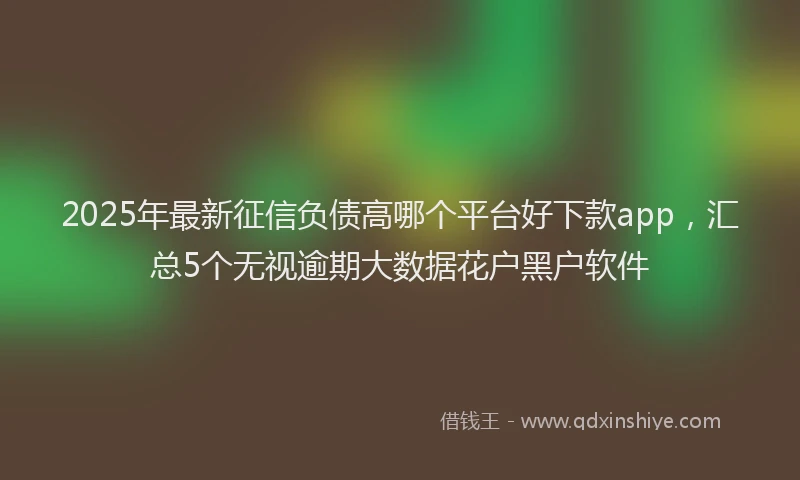 2025年最新征信负债高哪个平台好下款app，汇总5个无视逾期大数据花户黑户软件