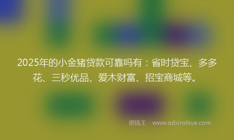 2025年的小金猪贷款可靠吗有：省时贷宝、多多花、三秒优品、爱木财富、招宝商城等。