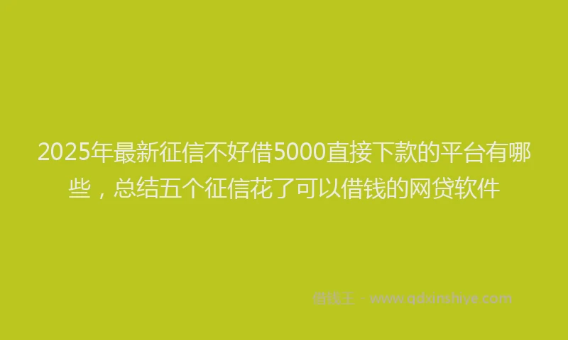 2025年最新征信不好借5000直接下款的平台有哪些，总结五个征信花了可以借钱的网贷软件