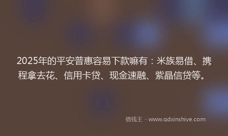 2025年的平安普惠容易下款嘛有：米族易借、携程拿去花、信用卡贷、现金速融、紫晶信贷等。