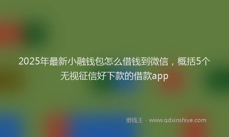 2025年最新小融钱包怎么借钱到微信，概括5个无视征信好下款的借款app
