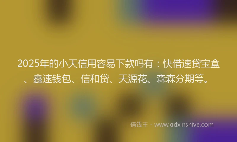 2025年的小天信用容易下款吗有：快借速贷宝盒、鑫速钱包、信和贷、天源花、森森分期等。