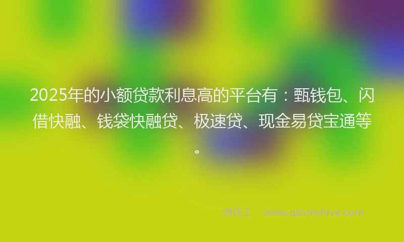 2025年的小额贷款利息高的平台有：甄钱包、闪借快融、钱袋快融贷、极速贷、现金易贷宝通等。