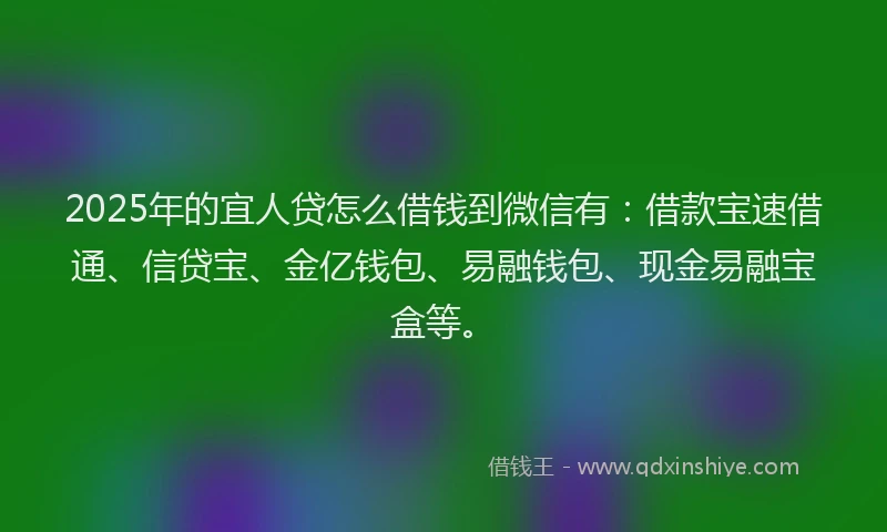 2025年的宜人贷怎么借钱到微信有：借款宝速借通、信贷宝、金亿钱包、易融钱包、现金易融宝盒等。
