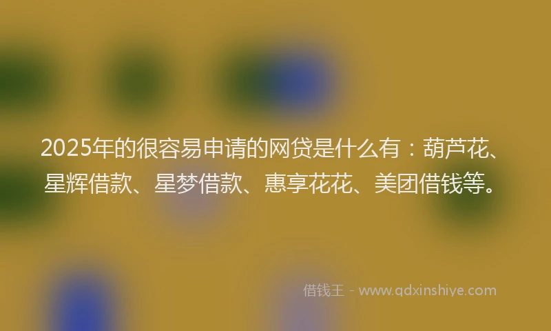2025年的很容易申请的网贷是什么有：葫芦花、星辉借款、星梦借款、惠享花花、美团借钱等。