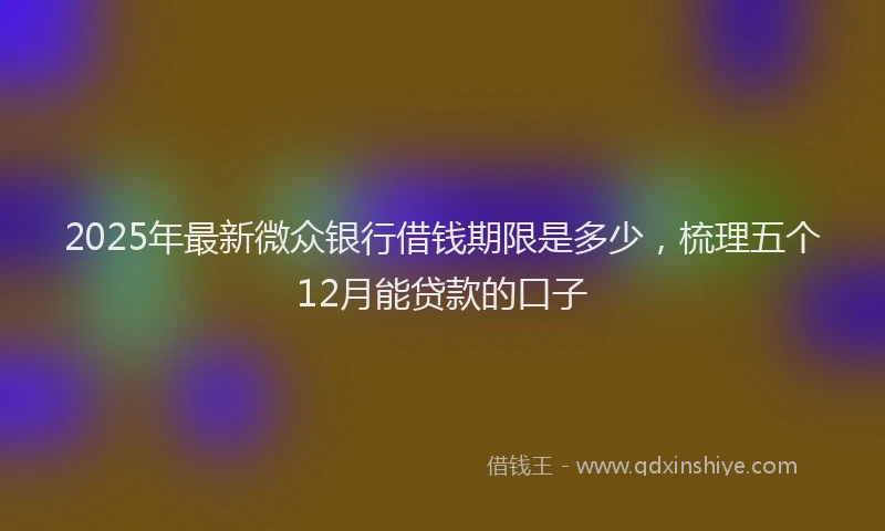 2025年最新微众银行借钱期限是多少，梳理五个12月能贷款的口子