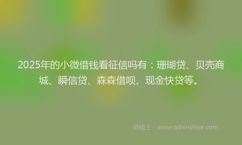 2025年的小微借钱看征信吗有：珊瑚贷、贝壳商城、瞬信贷、森森借呗、现金快贷等。