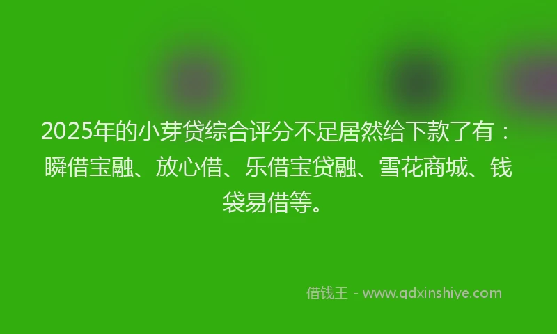 2025年的小芽贷综合评分不足居然给下款了有：瞬借宝融、放心借、乐借宝贷融、雪花商城、钱袋易借等。