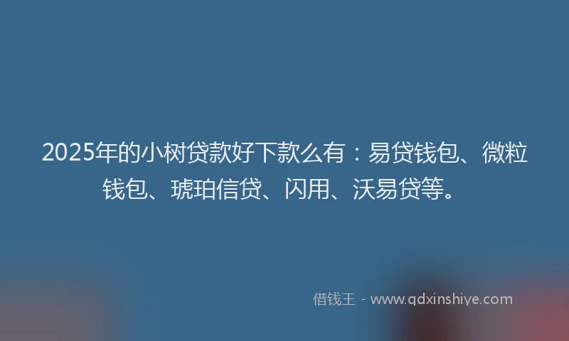 2025年的小树贷款好下款么有：易贷钱包、微粒钱包、琥珀信贷、闪用、沃易贷等。