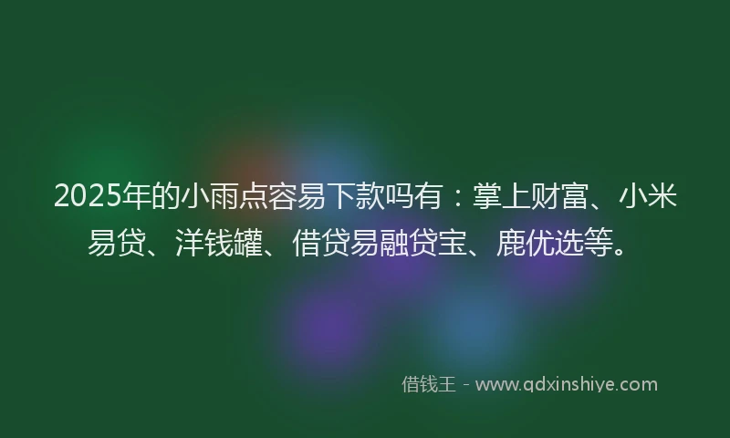 2025年的小雨点容易下款吗有：掌上财富、小米易贷、洋钱罐、借贷易融贷宝、鹿优选等。
