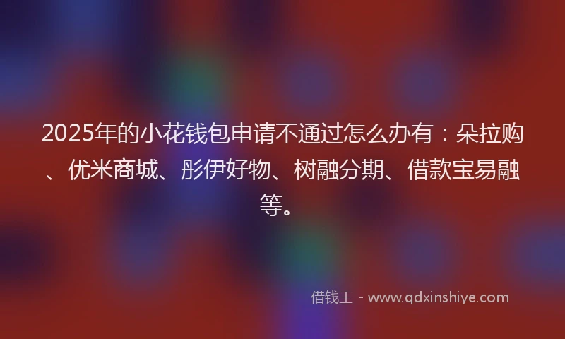 2025年的小花钱包申请不通过怎么办有：朵拉购、优米商城、彤伊好物、树融分期、借款宝易融等。
