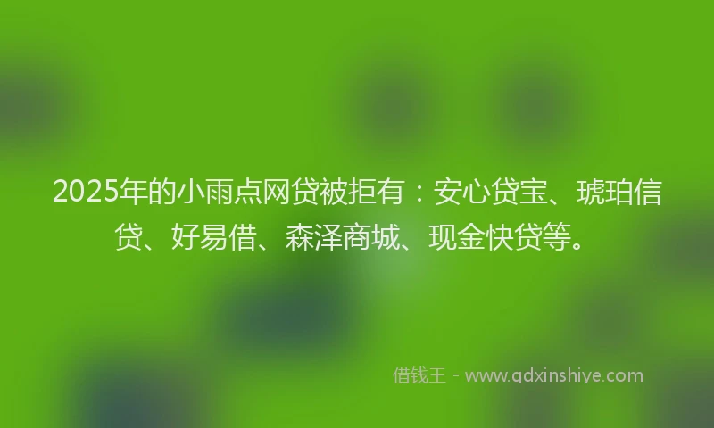 2025年的小雨点网贷被拒有：安心贷宝、琥珀信贷、好易借、森泽商城、现金快贷等。