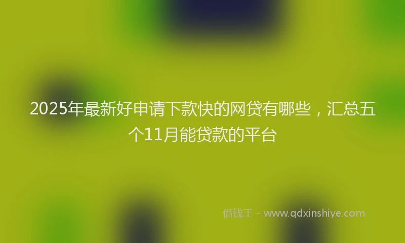 2025年最新好申请下款快的网贷有哪些，汇总五个11月能贷款的平台